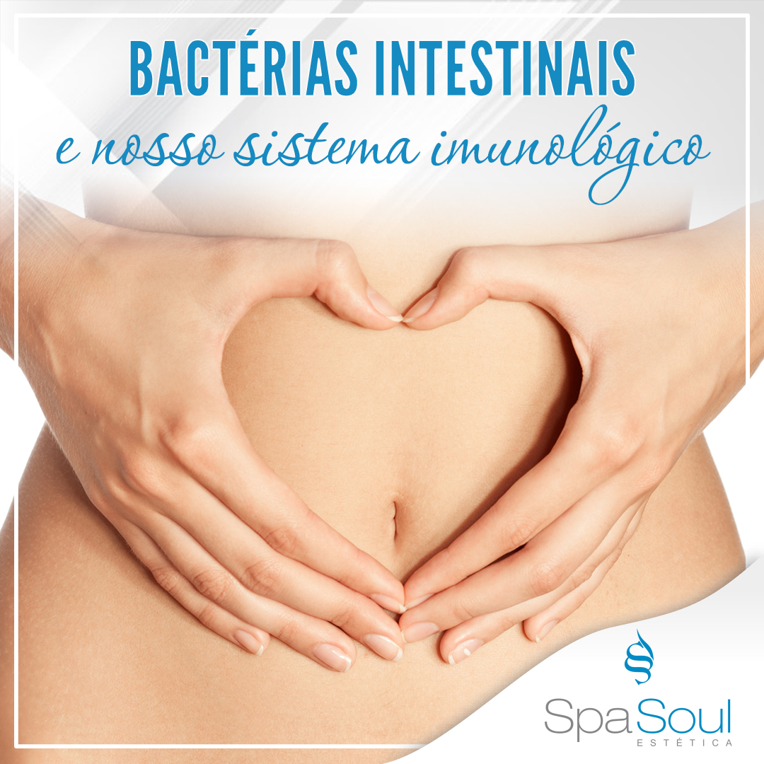 Bactérias Intestinais E Nosso Sistema Imunológico Clínica Spa Soul 1877